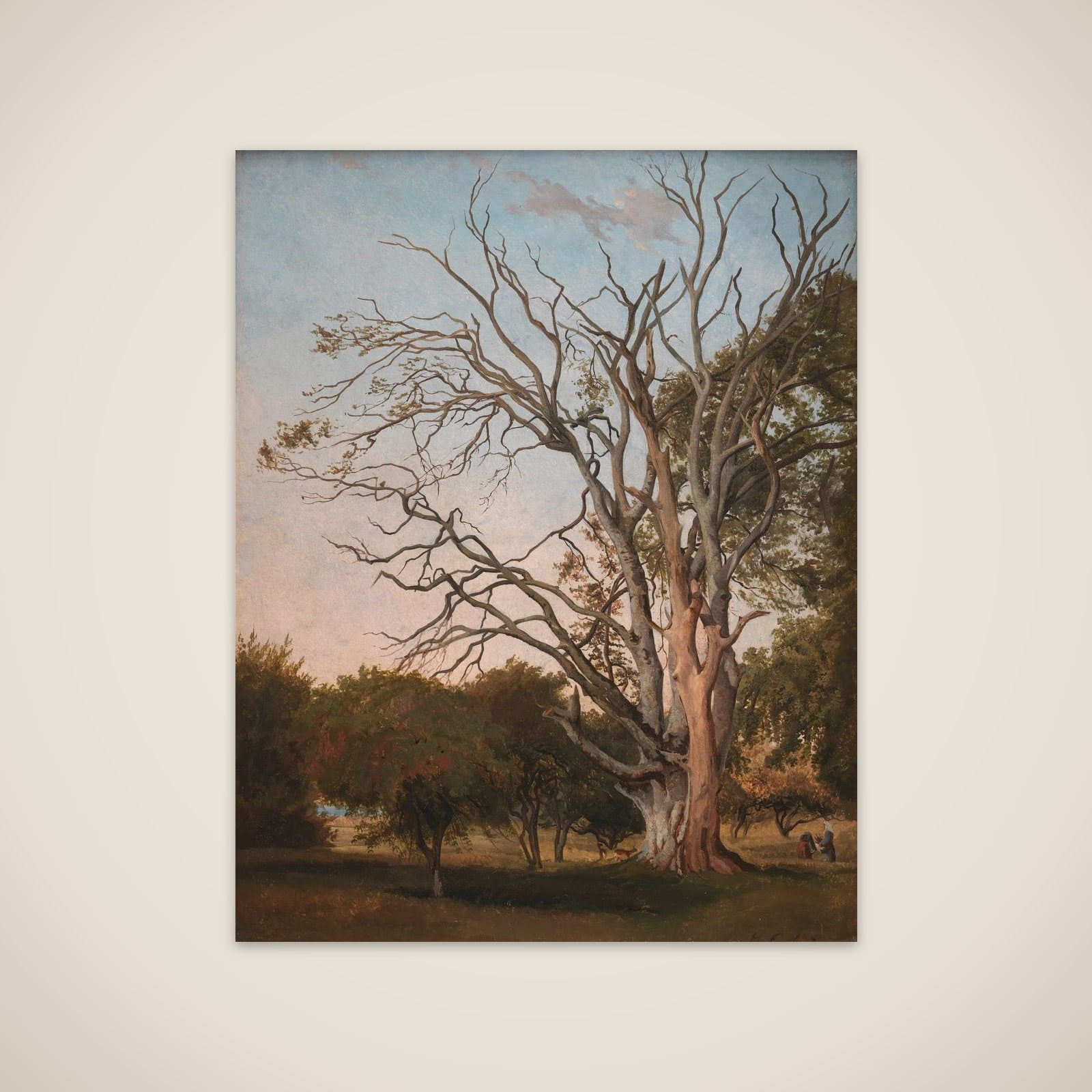 Skovparti med udgået træ unframed print