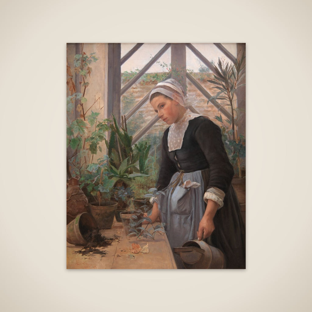 Bretagne-pige ordner planter i et drivhus unframed print