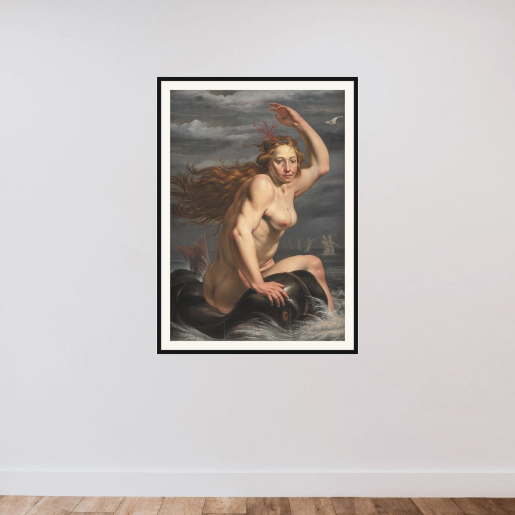 Galathea framed — shown to scale