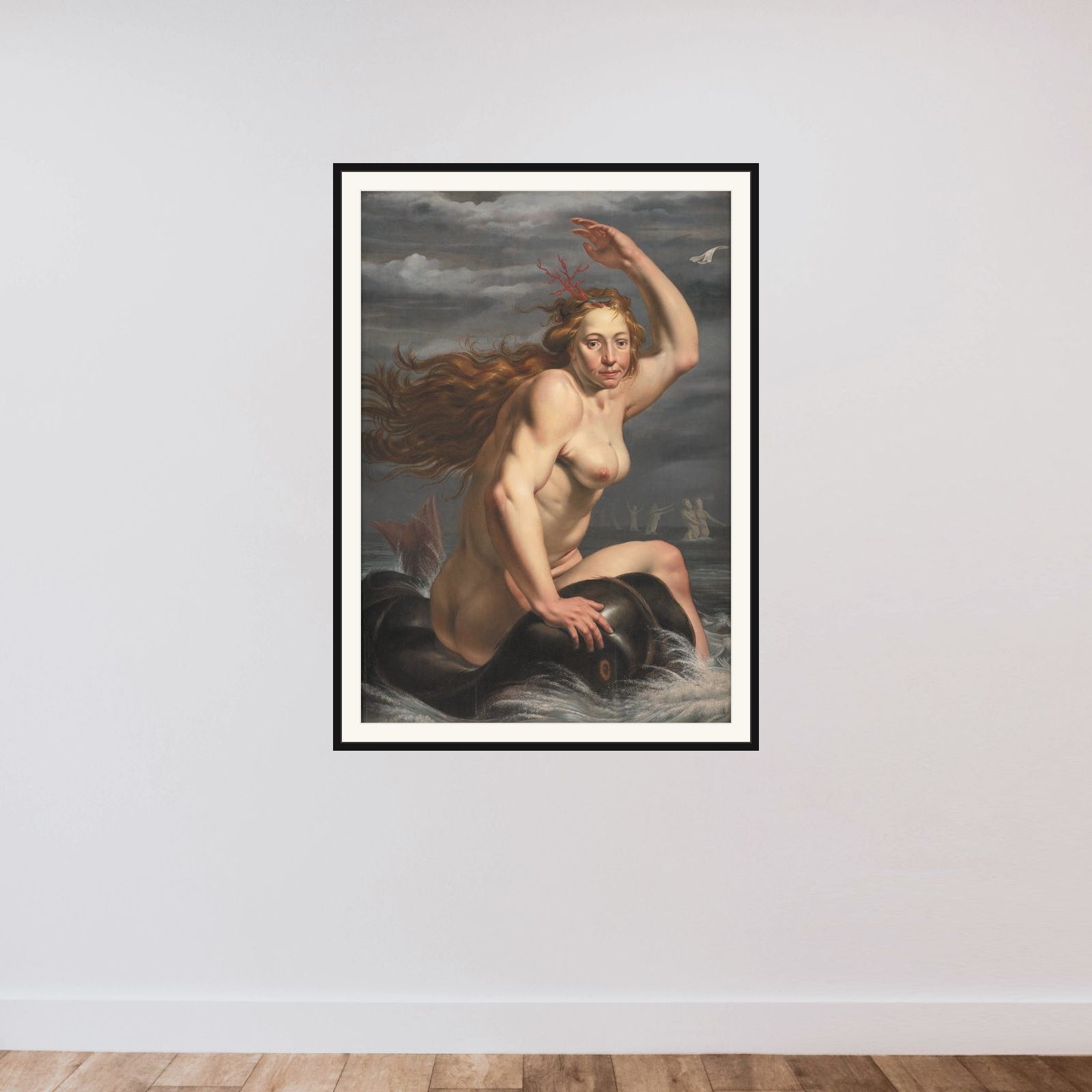 Galathea framed — shown to scale