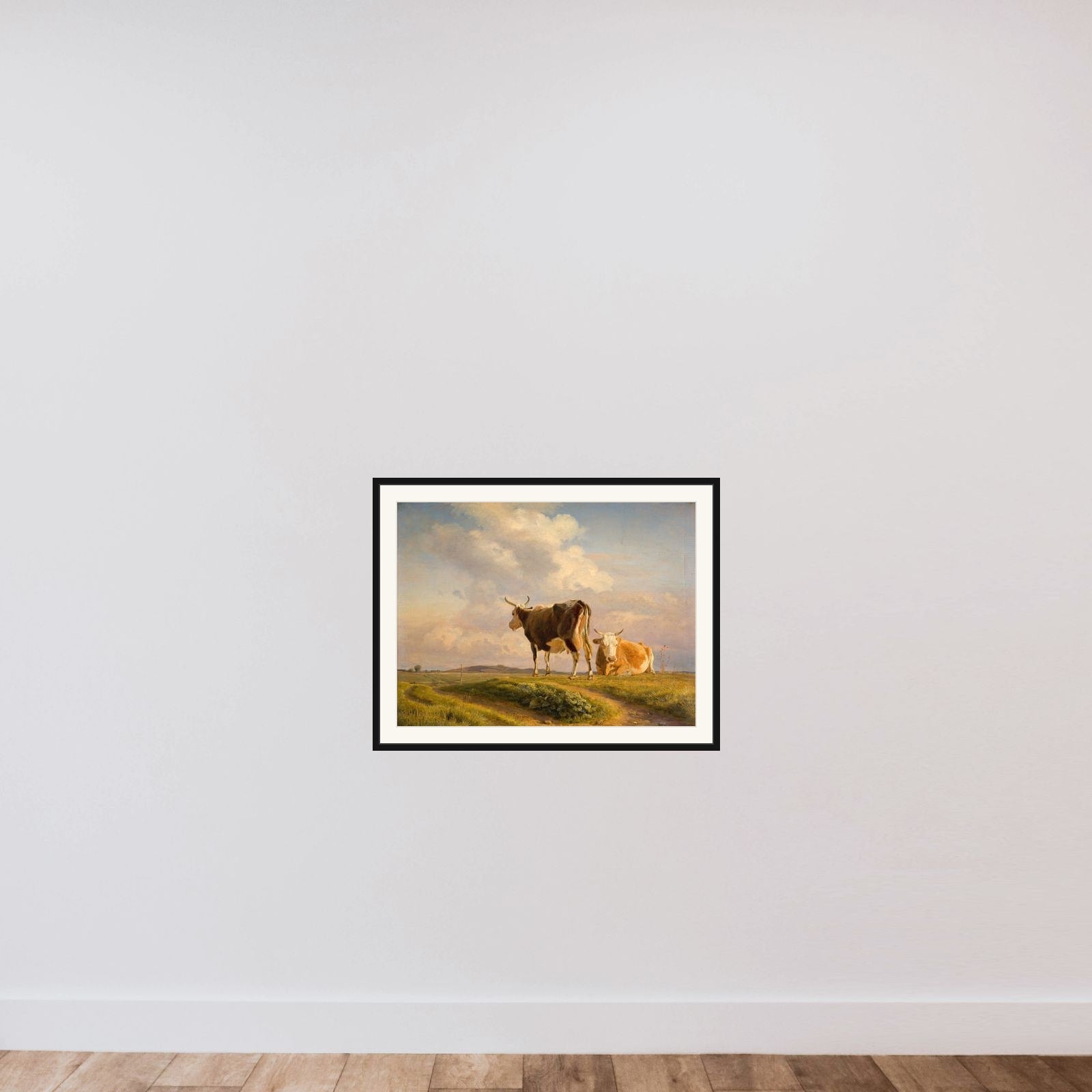 To køer på en åben mark framed — shown to scale