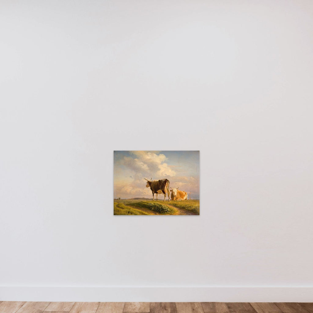 To køer på en åben mark unframed — shown to scale