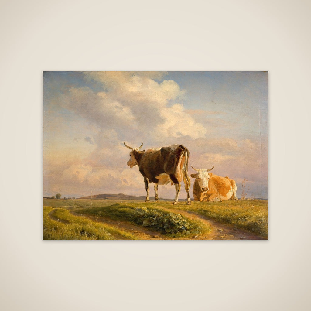 To køer på en åben mark unframed print