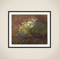 Anemoner framed