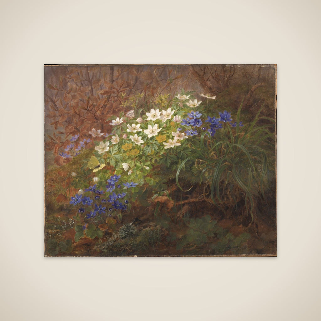 Anemoner unframed print