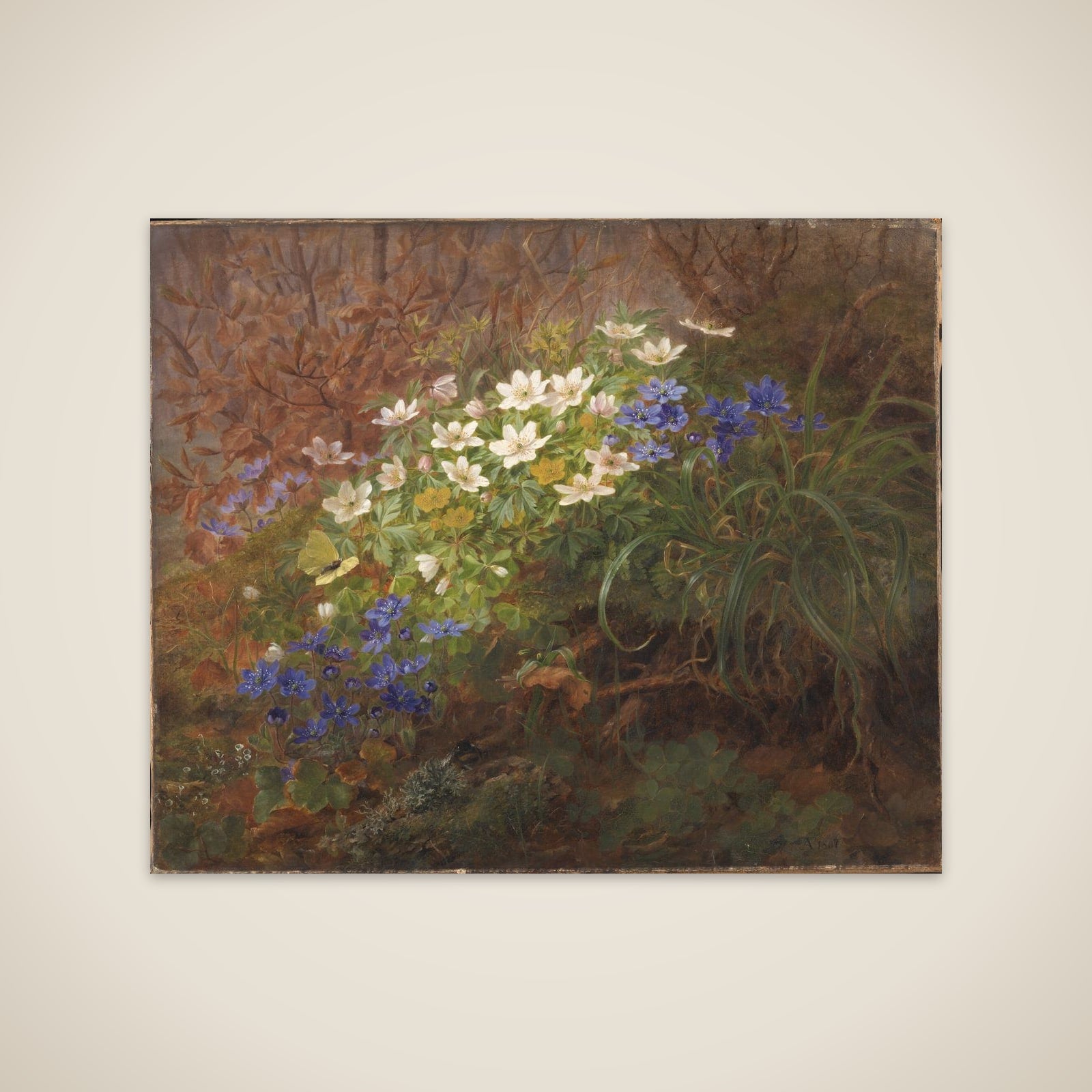 Anemoner unframed print