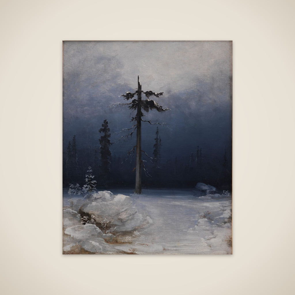 Træ i vinterskov unframed print