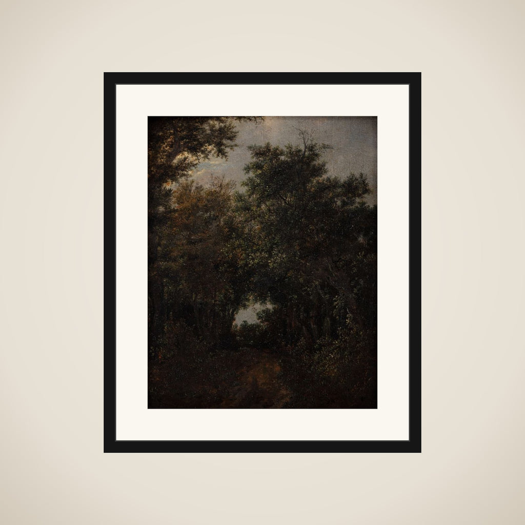 Vej i en egeskov framed