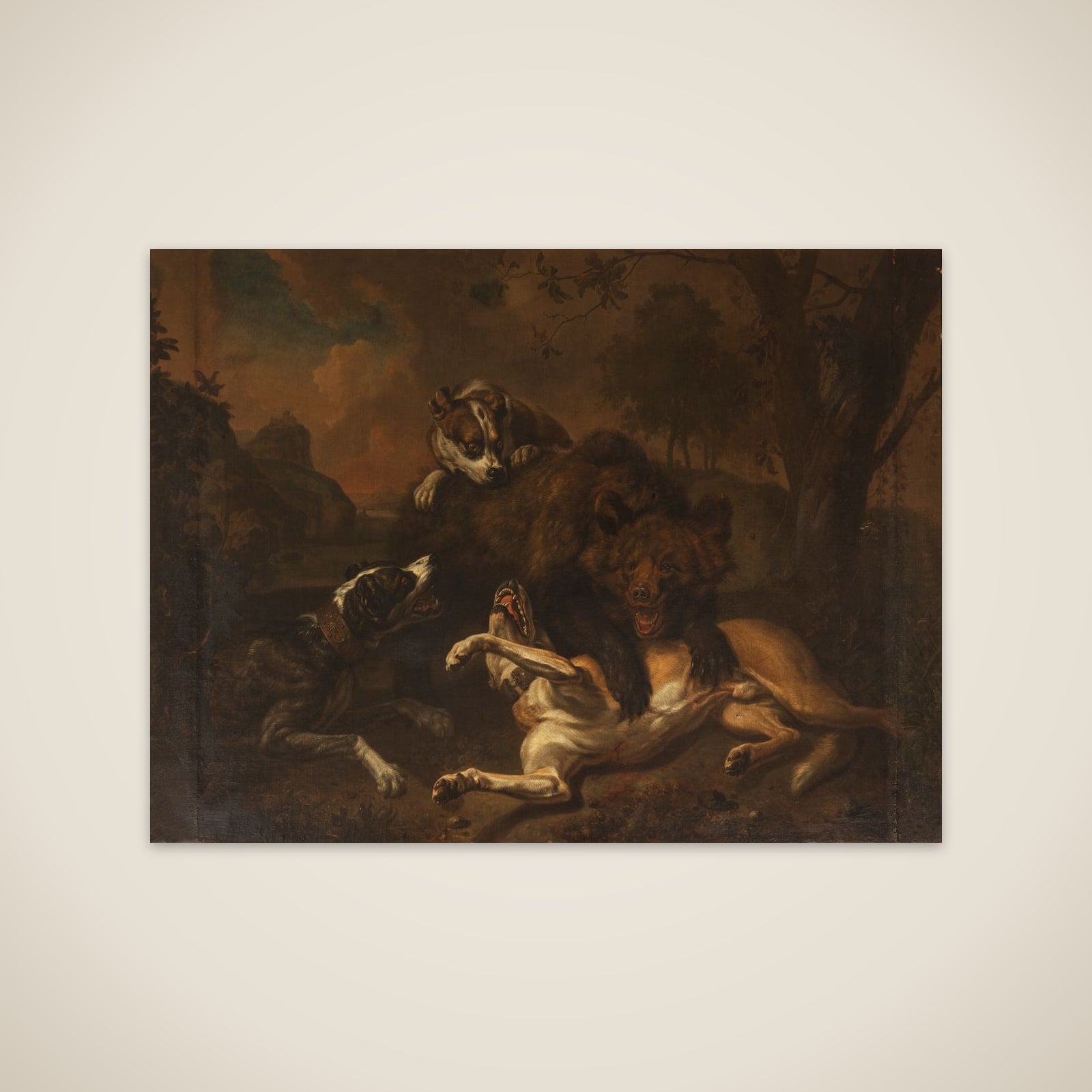 Kamp mellem en bjørn og hunde i et landskab unframed print