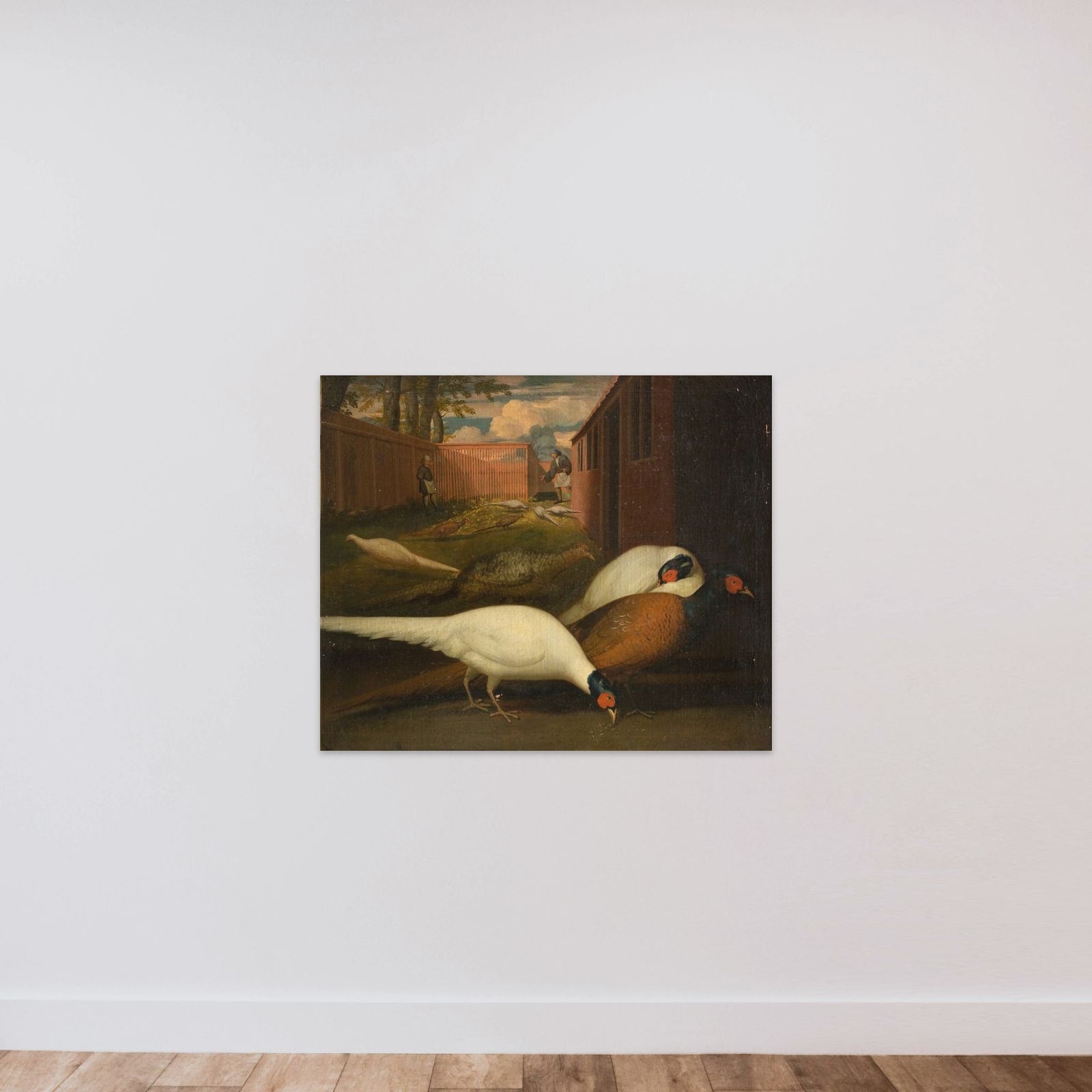 Fasaner i et indelukke unframed — shown to scale