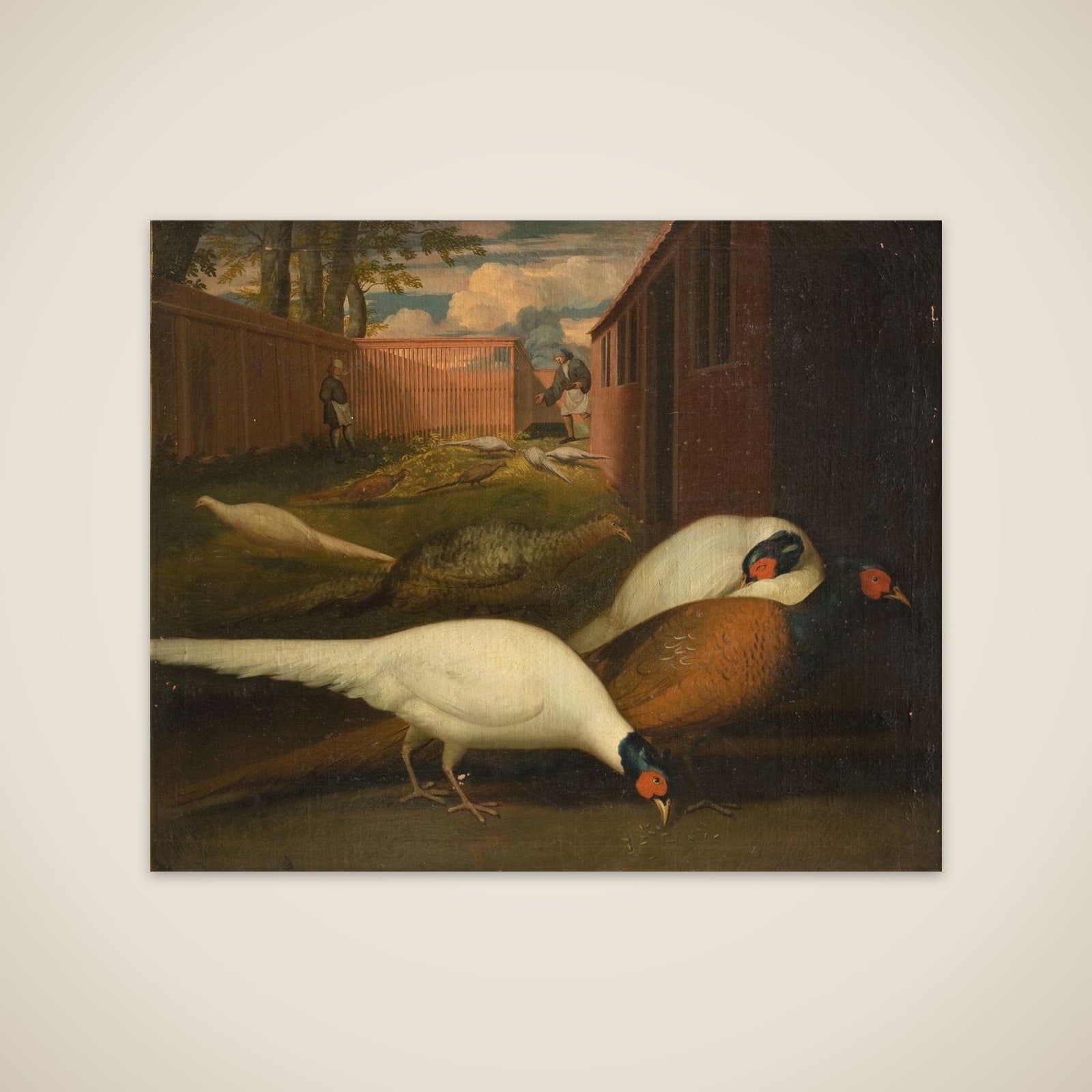 Fasaner i et indelukke unframed print