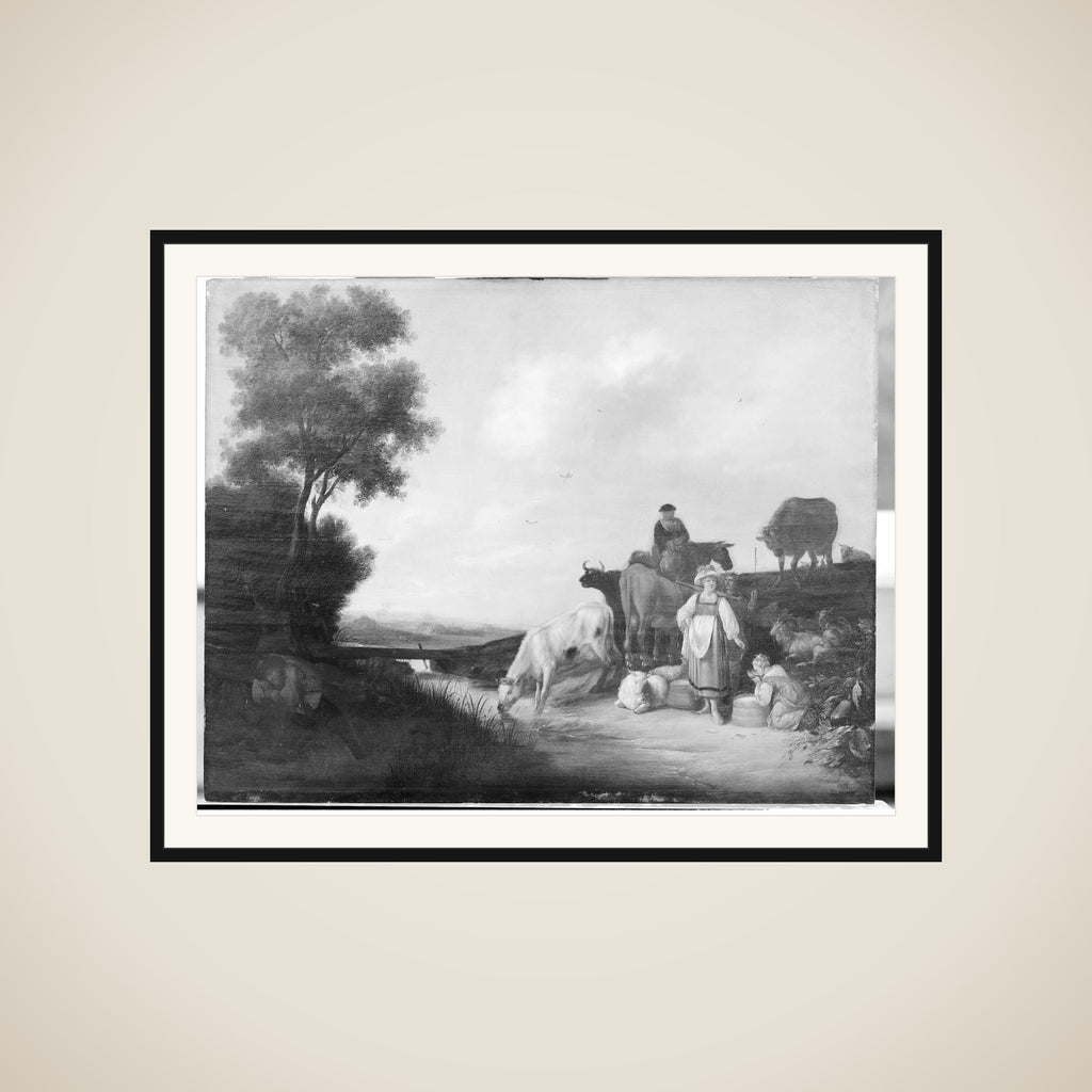 Kvæg ved vandingsstedet framed
