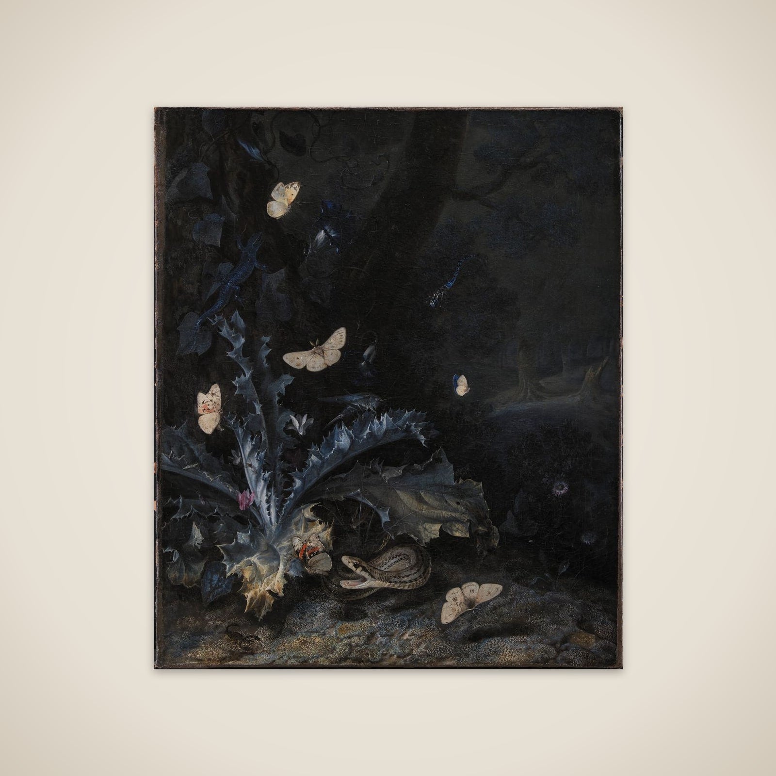 Stilleben med tidsel og slange unframed print