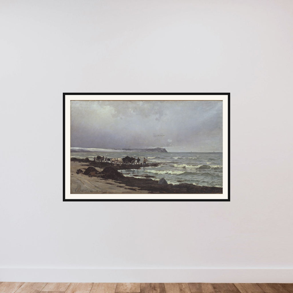 Der læsses tang ved Hornbæk Strand framed — shown to scale