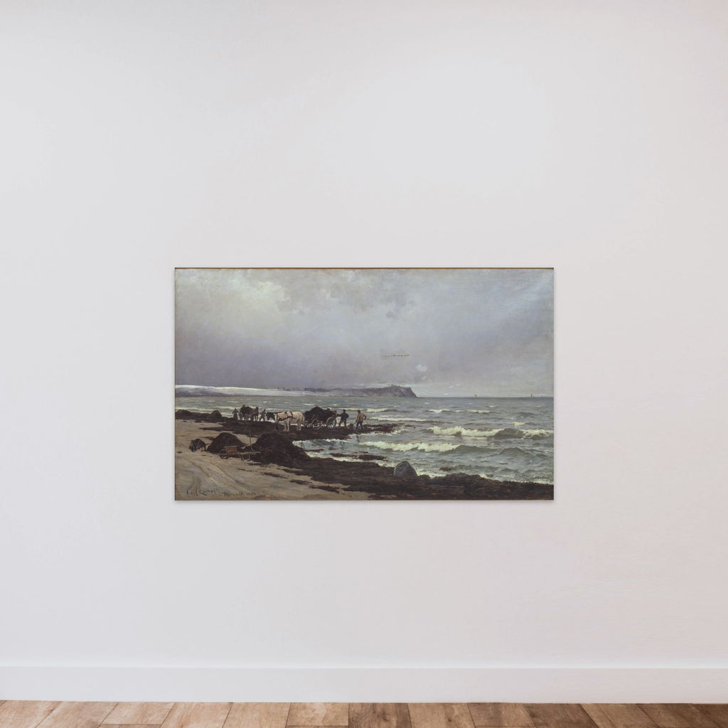 Der læsses tang ved Hornbæk Strand unframed — shown to scale