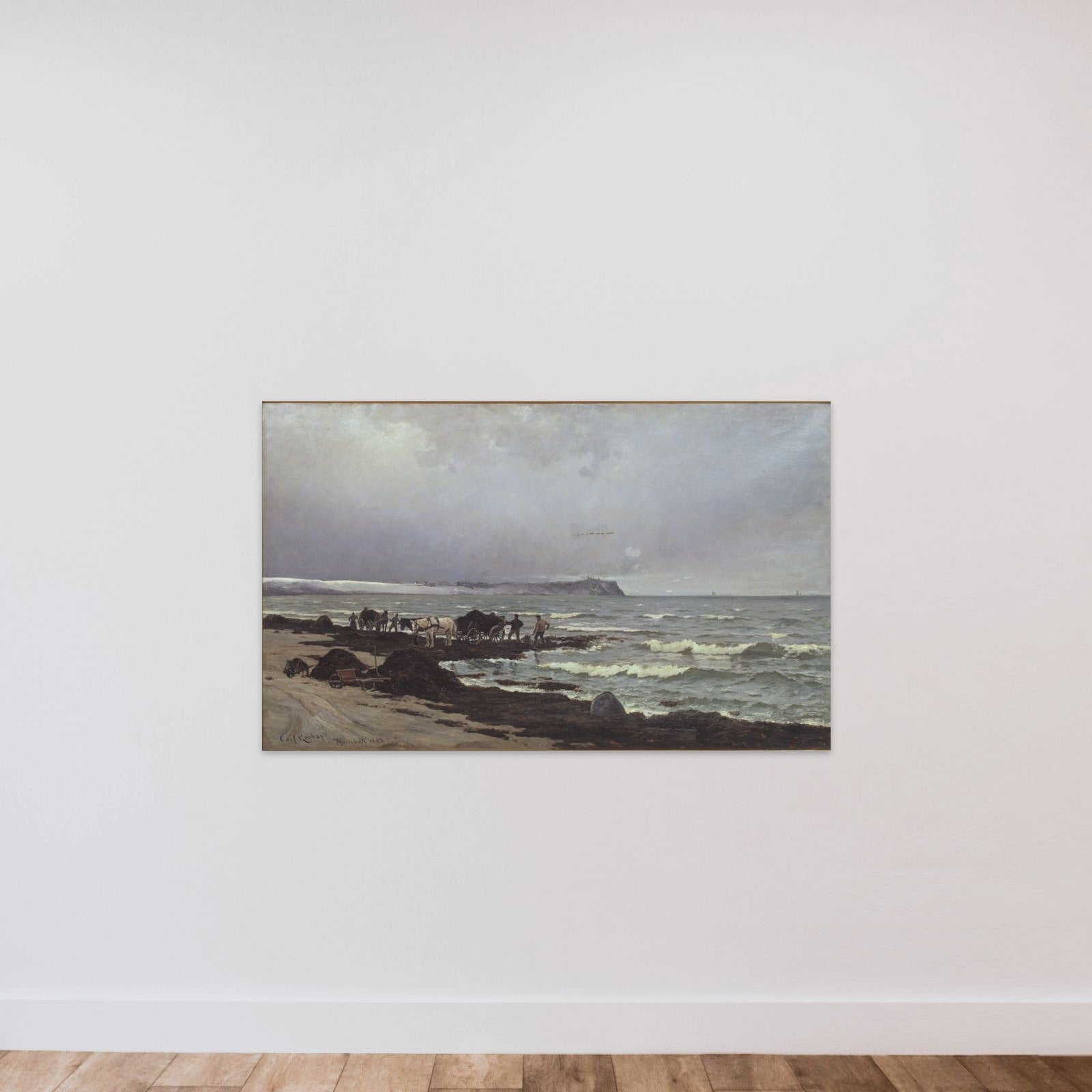 Der læsses tang ved Hornbæk Strand unframed — shown to scale