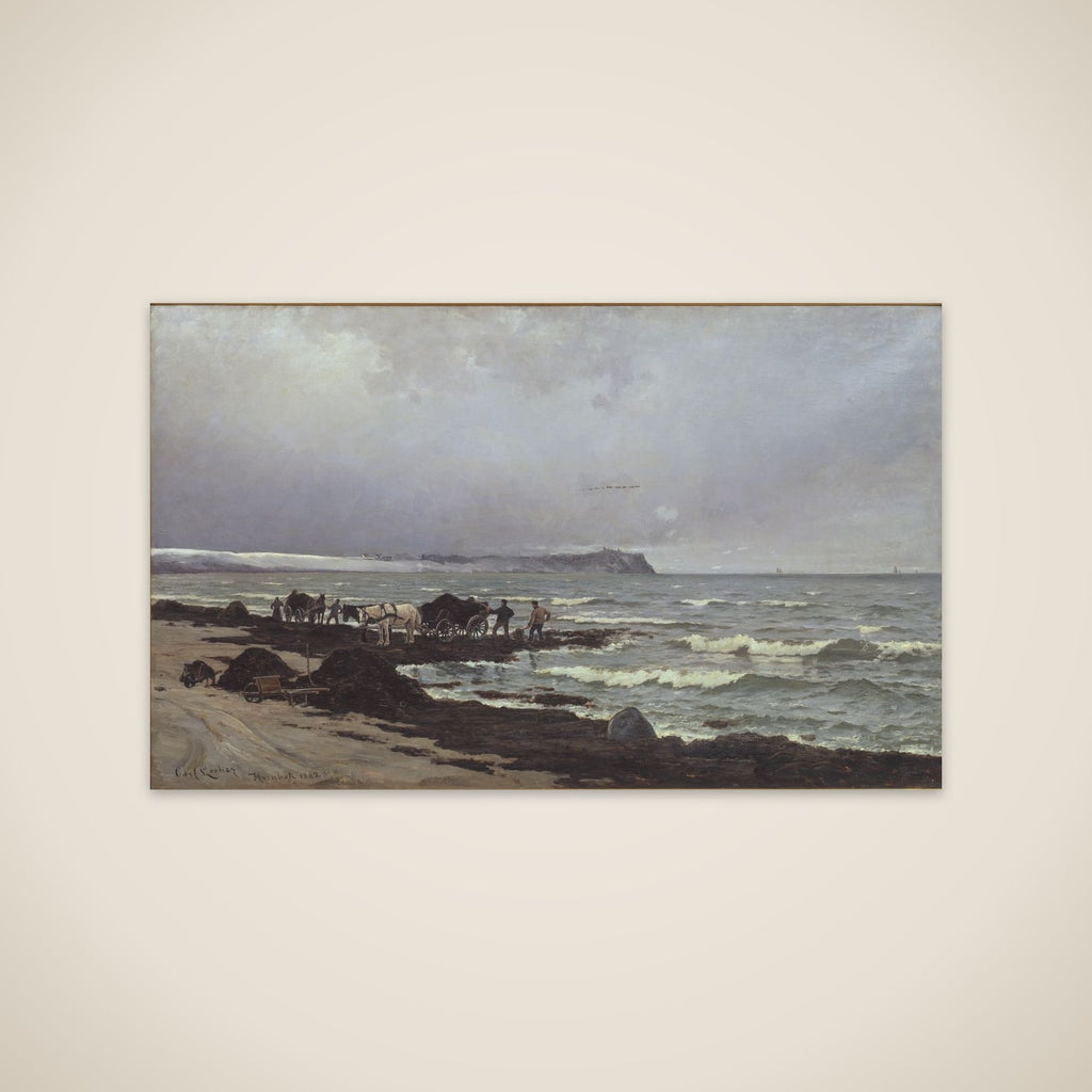 Der læsses tang ved Hornbæk Strand unframed print