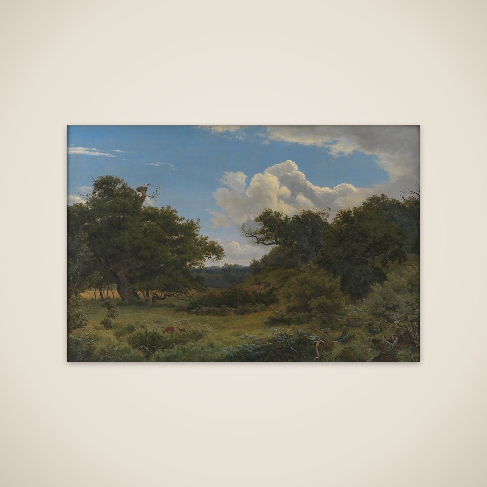 Egetræer i Nordskoven ved Jægerspris unframed print