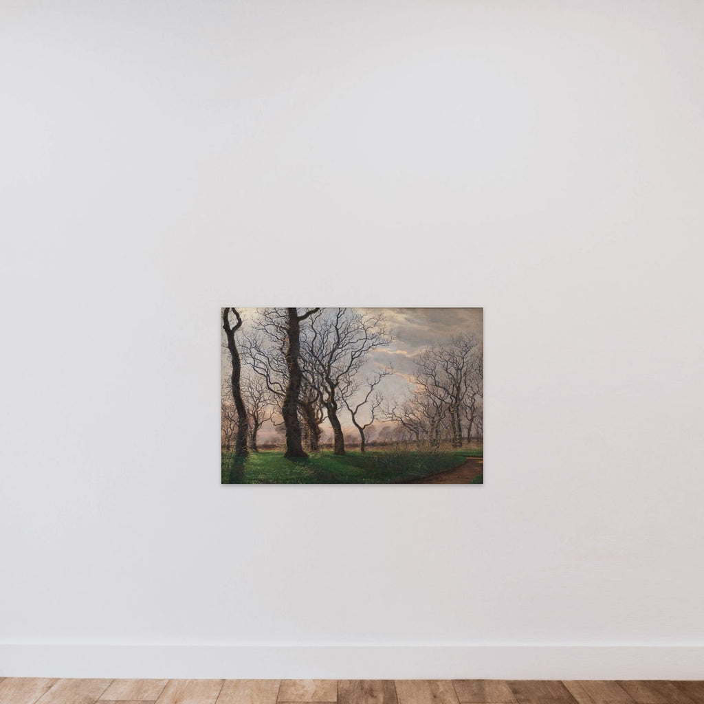 I udkanten af en egeskov en tidlig forårsmorgen unframed — shown to scale