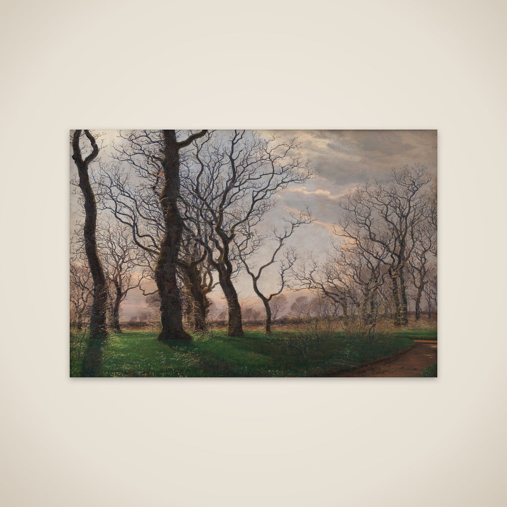 I udkanten af en egeskov en tidlig forårsmorgen unframed print